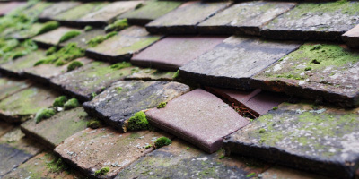 Billericay roof repair costs